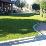Chilis Front Landscape
