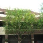 ASU Commercial Maintenance Services