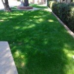 Grass Walkway Area