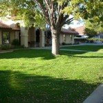 Residential Landscapers