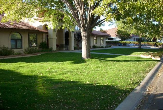 Residential Landscapers