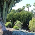 Landscape Design Style