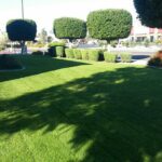 landscaping services