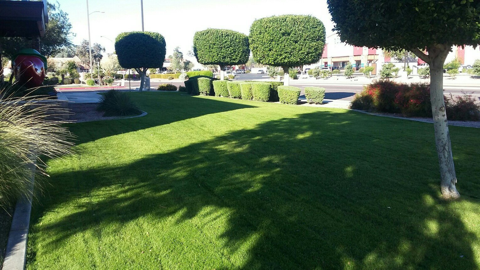 landscaping services