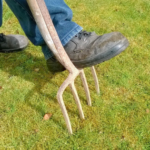 commercial landscapers