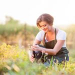 landscaping services