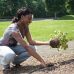 residential landscaping service