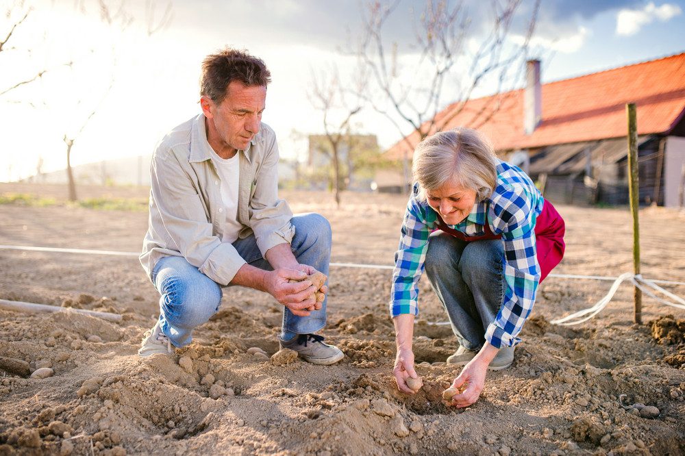residential landscaping