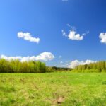 commercial landscaper