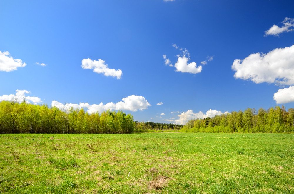 commercial landscaper