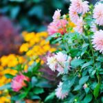 landscaping services