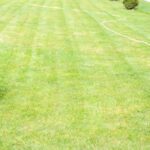 commercial landscaping