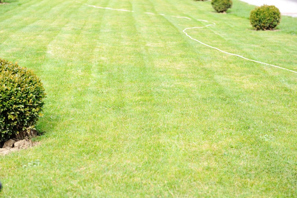 commercial landscaping