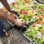 commercial landscapers