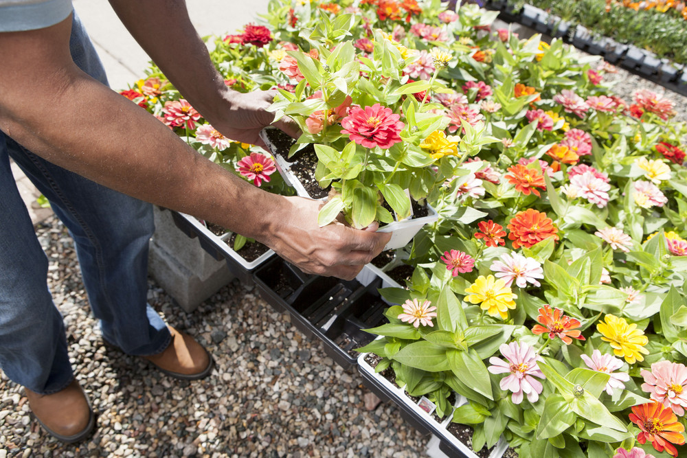 commercial landscapers