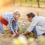 residential landscaping