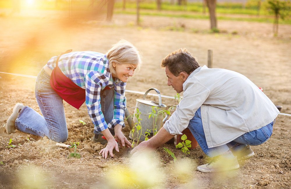 residential landscaping