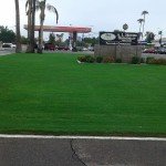 Al Moore Mortuary Turf Landscaping - Victors Landscaping